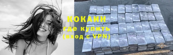крисы Кулебаки