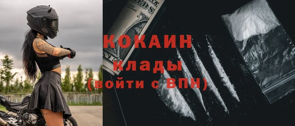 крисы Кулебаки