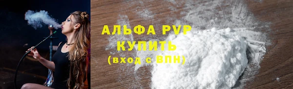 крисы Кулебаки