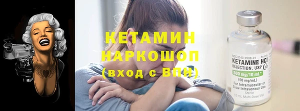 крисы Кулебаки