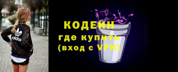 крисы Кулебаки