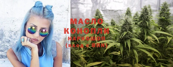 крисы Кулебаки