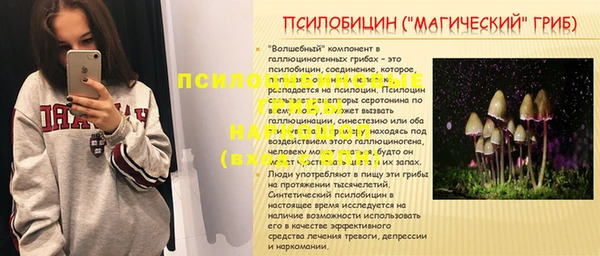 крисы Кулебаки