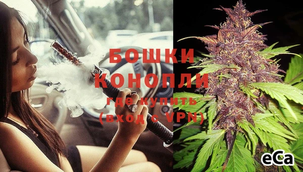 крисы Кулебаки