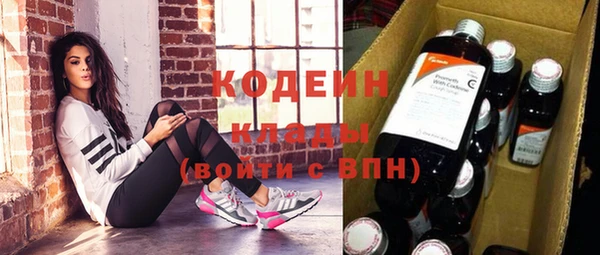 крисы Кулебаки