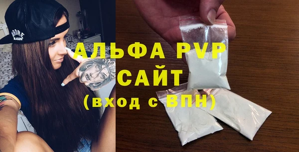 крисы Кулебаки