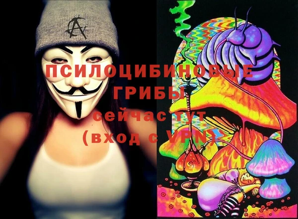 крисы Кулебаки