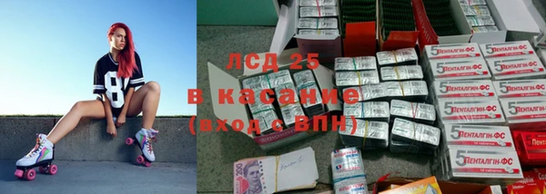 крисы Кулебаки